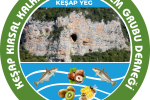 Bağış Yaparak Çalışmalarımıza Katkı Sağlayabilirsiniz.